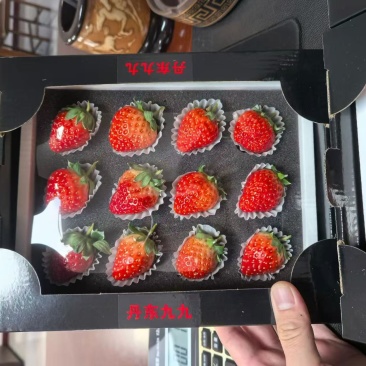 丹东草莓，口感越来越好，目前价格有点小贵，但物有所值。