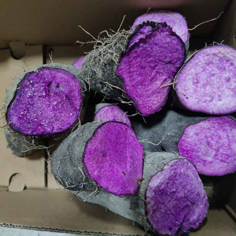 野生紫色山药