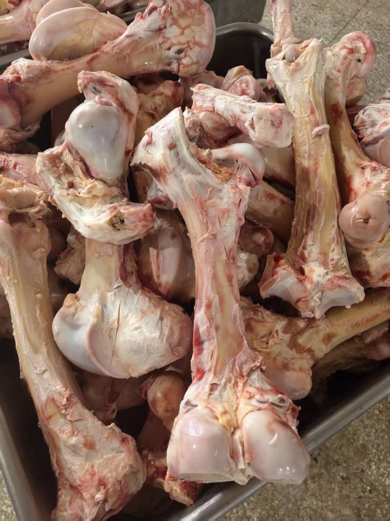 牛骨牛腿骨大棒骨圆骨扁骨腿骨