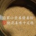 小黄姜自家爸妈种植现挖姜味超正品质在线