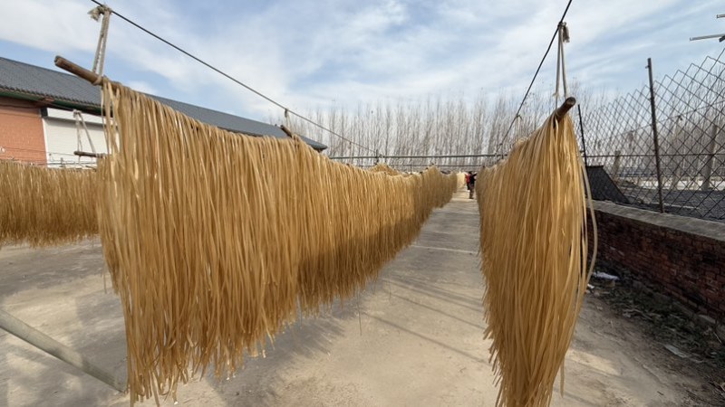 【推荐】一手纯手工红薯粉条常年供应商超市场发全国证件齐全