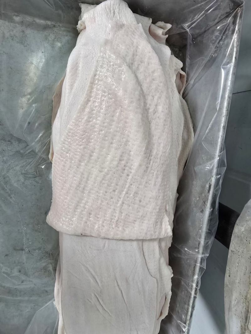 猪皮干净无毛猪皮冻原料