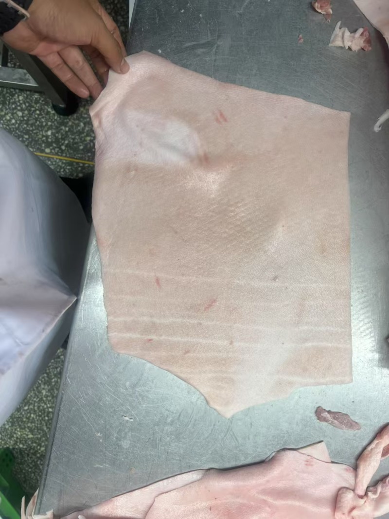 猪皮干净无毛猪皮冻原料