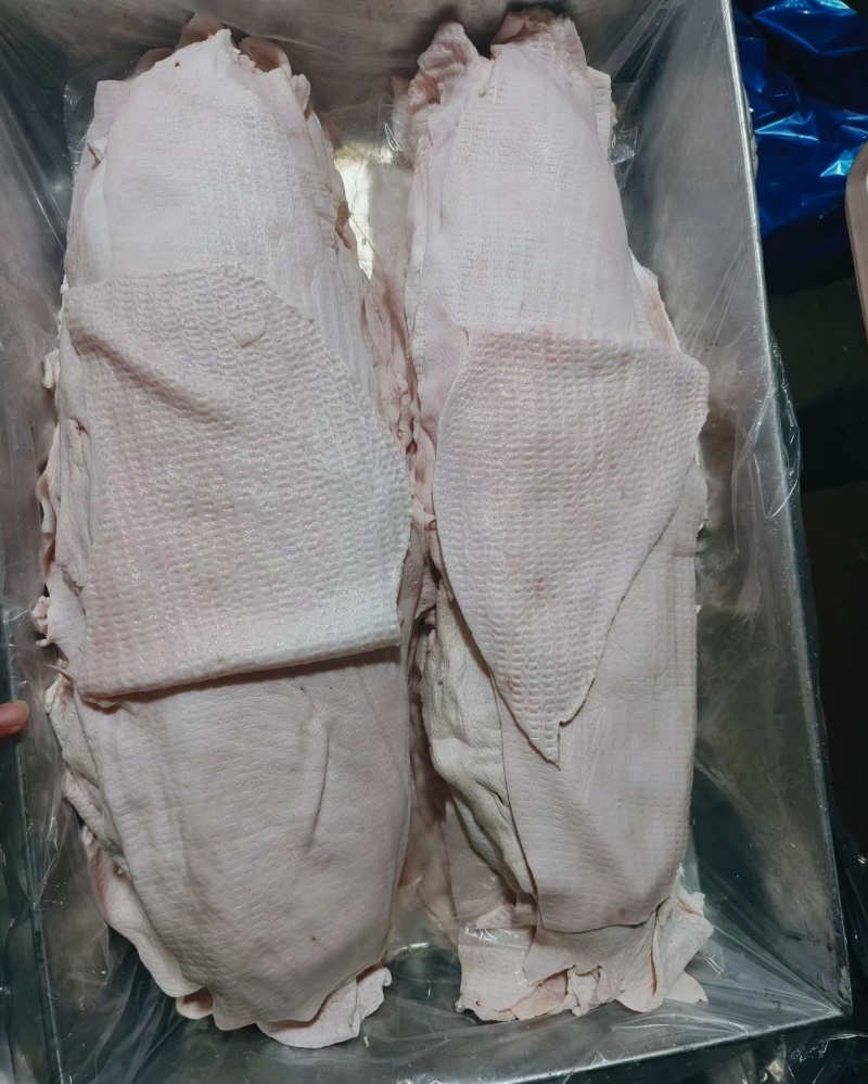 猪皮干净无毛猪皮冻原料