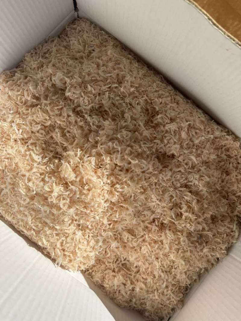 淡干，淡干，淡干。虾皮可预包装，可整件出。