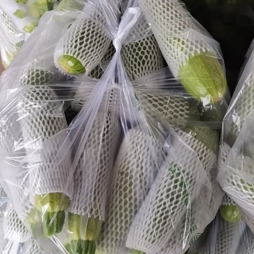 云南西葫芦