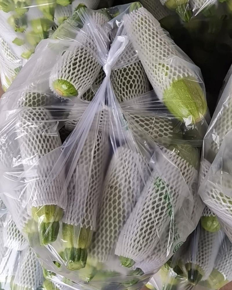 云南西葫芦