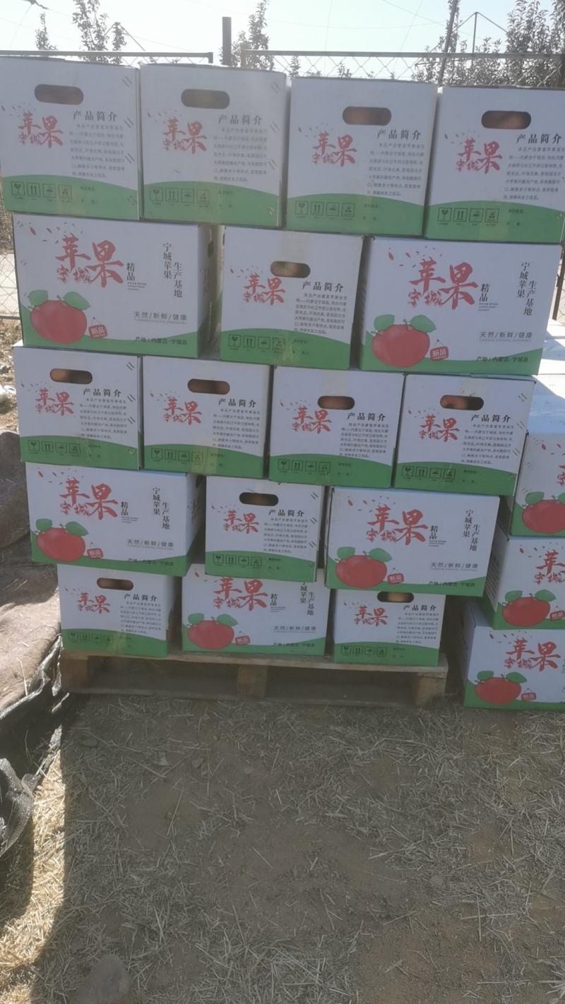 宁城苹果