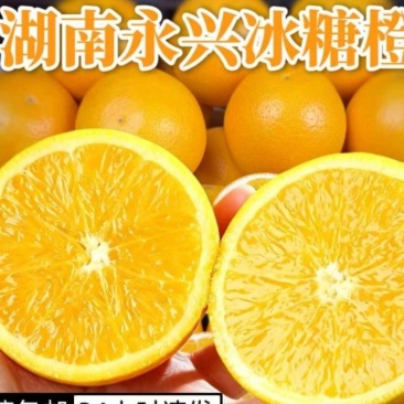 永兴冰糖橙