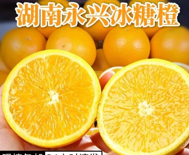 永兴冰糖橙
