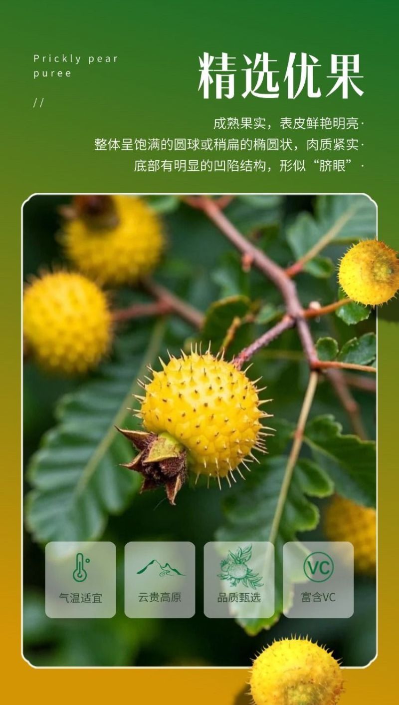 贵州刺梨汁