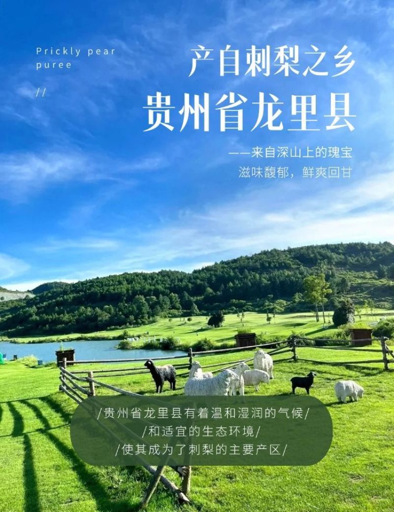 贵州刺梨汁