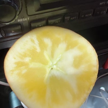 红富士糖心苹果掉价了，喜欢的来