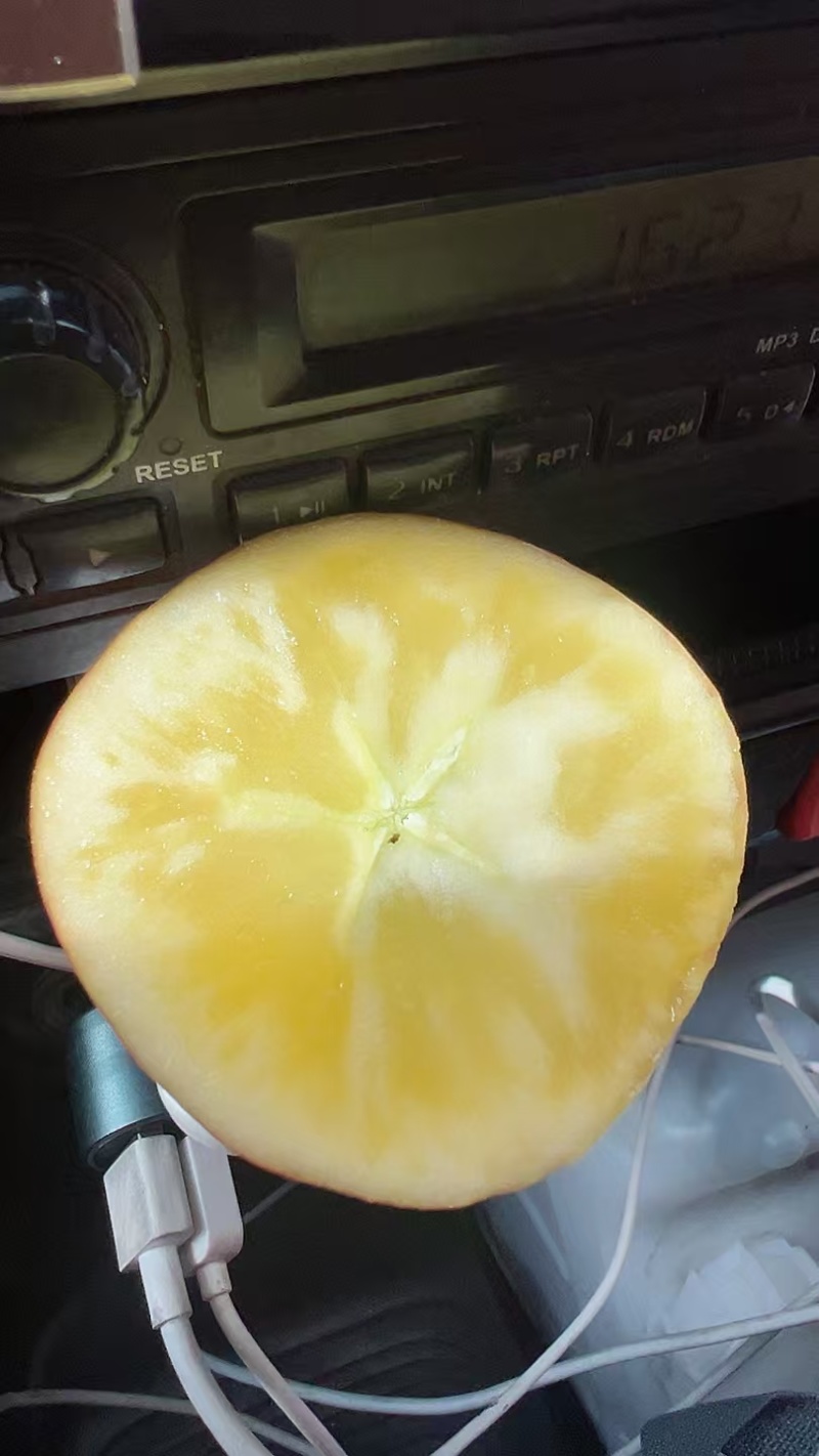 红富士糖心苹果掉价了，喜欢的来