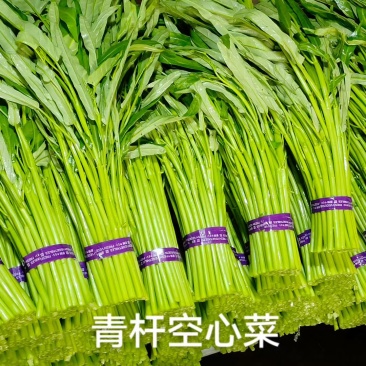 精品空心菜，青大叶，青柳叶