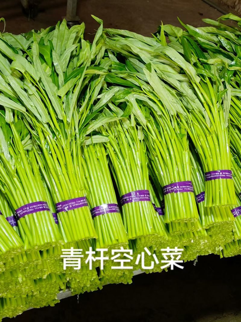 精品空心菜，青大叶，青柳叶