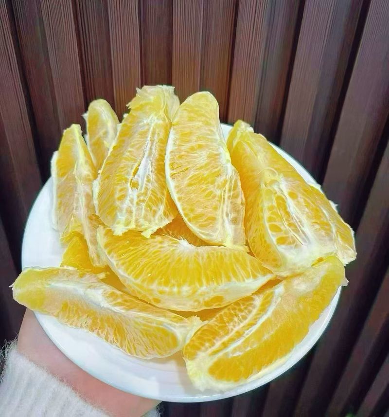 赣南脐橙