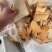 面包下脚料