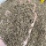 新货千里香香料批发50斤一件起批量大价优长期批发