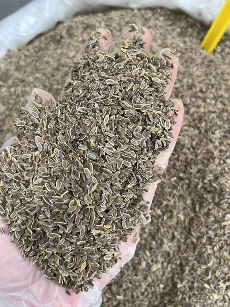 新货千里香香料批发50斤一件起批量大价优长期批发