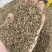 新货千里香香料批发50斤一件起批量大价优长期批发