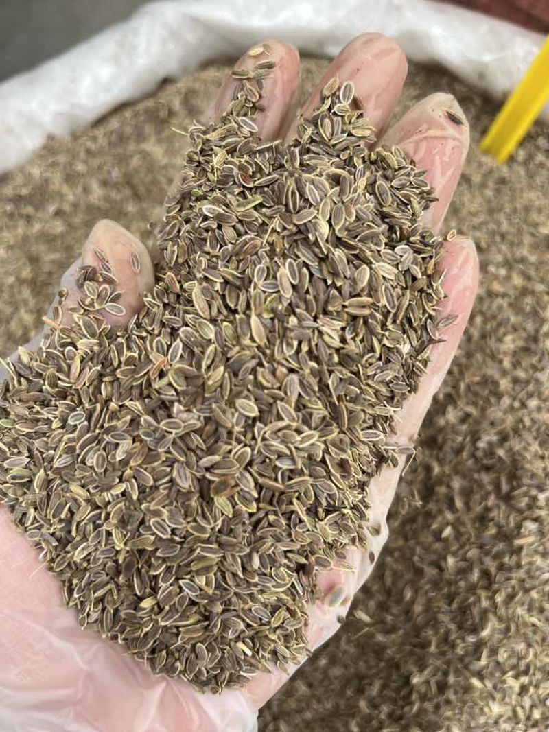 新货千里香香料批发50斤一件起批量大价优长期批发
