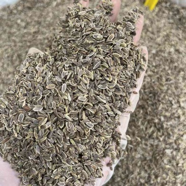 新货千里香香料批发50斤一件起批量大价优长期批发