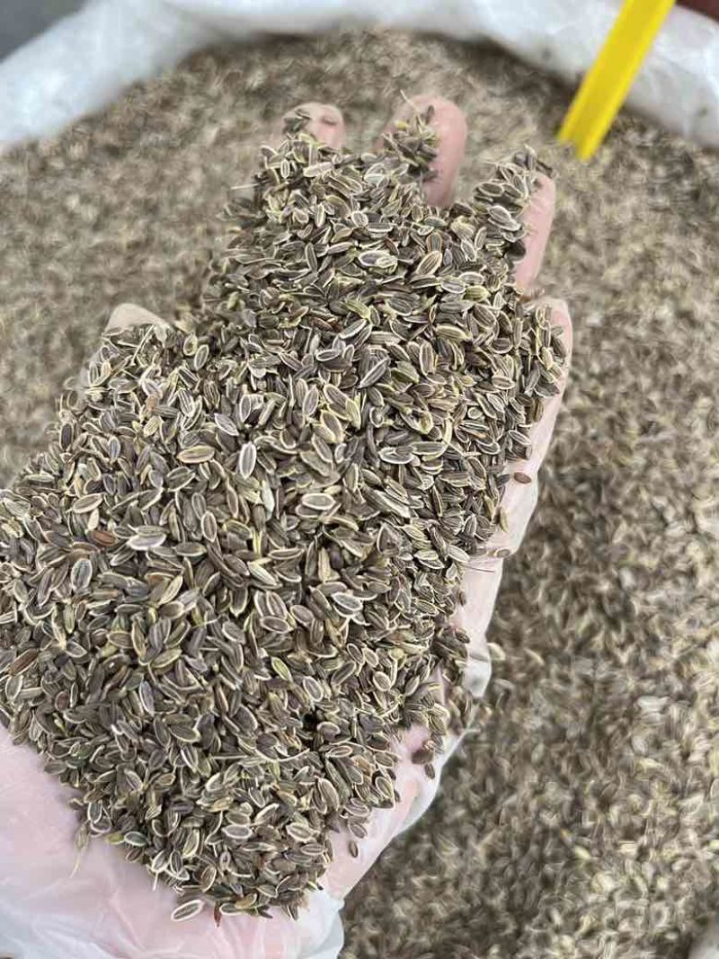 新货千里香香料批发50斤一件起批量大价优长期批发