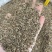 新货千里香香料批发50斤一件起批量大价优长期批发