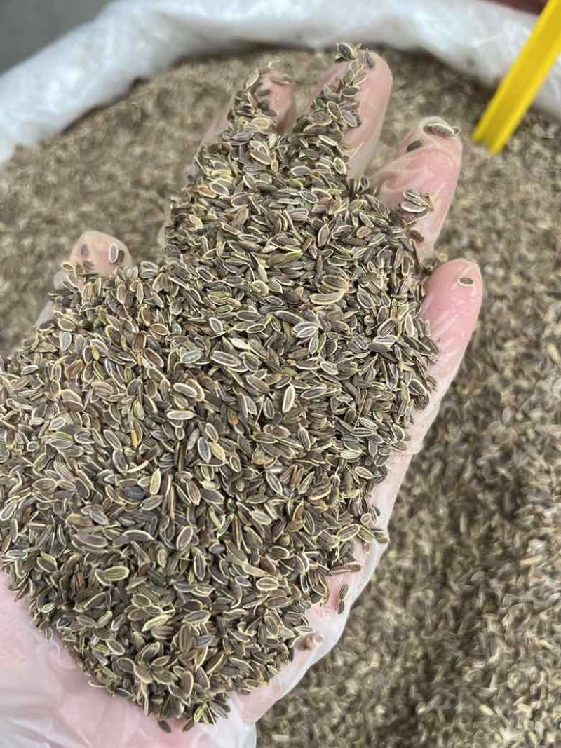 新货千里香香料批发50斤一件起批量大价优长期批发