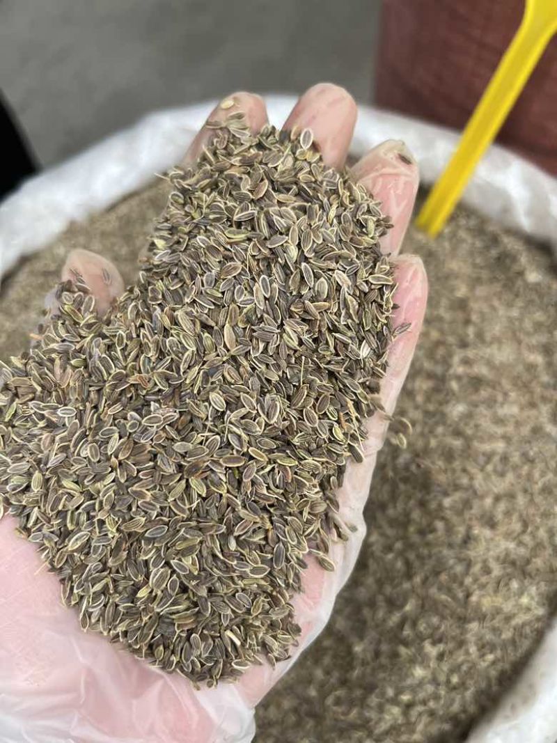 新货千里香香料批发50斤一件起批量大价优长期批发