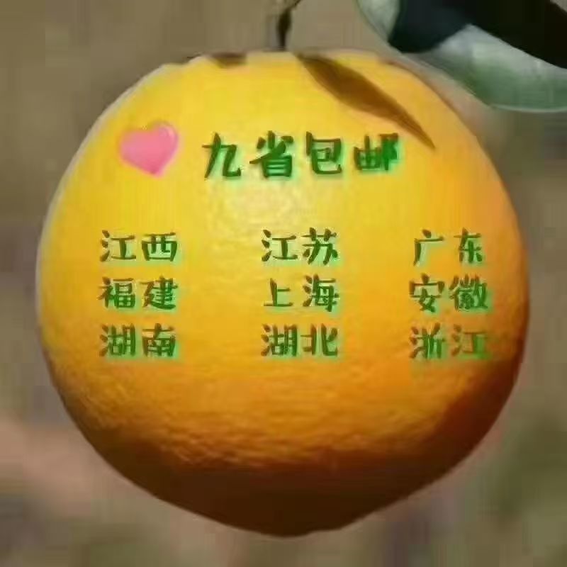 赣南脐橙