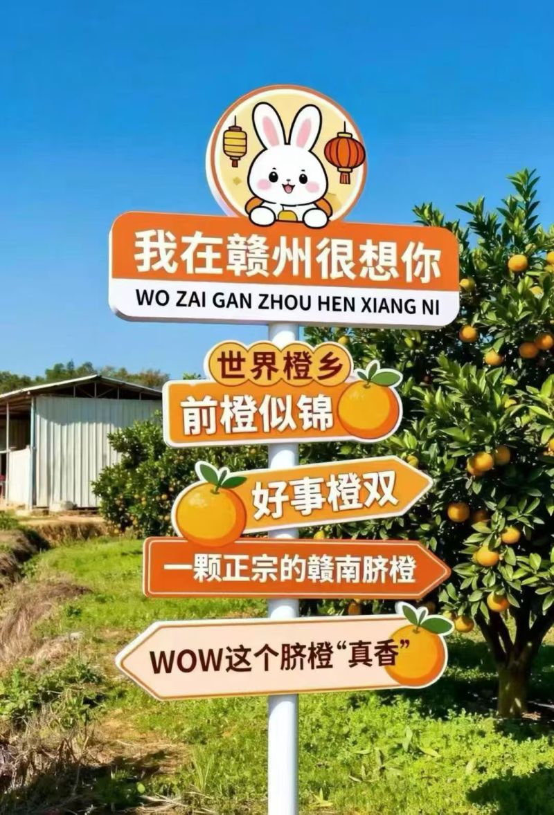 赣南脐橙