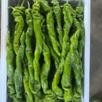 暖棚精品螺丝大量上市，保质保量，物美价廉
