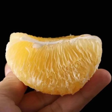 ℉葡萄柚.
