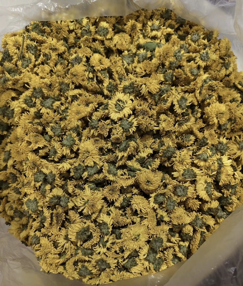 怀庆府四大怀药，主营怀菊花，自家农场种植、烘干