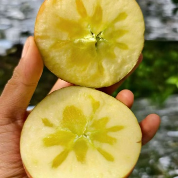 昭通糖心丑苹果