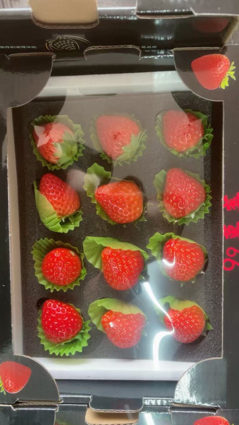 草莓大量上市产地货源品质保量