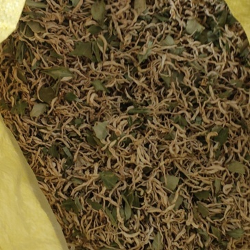 金银花