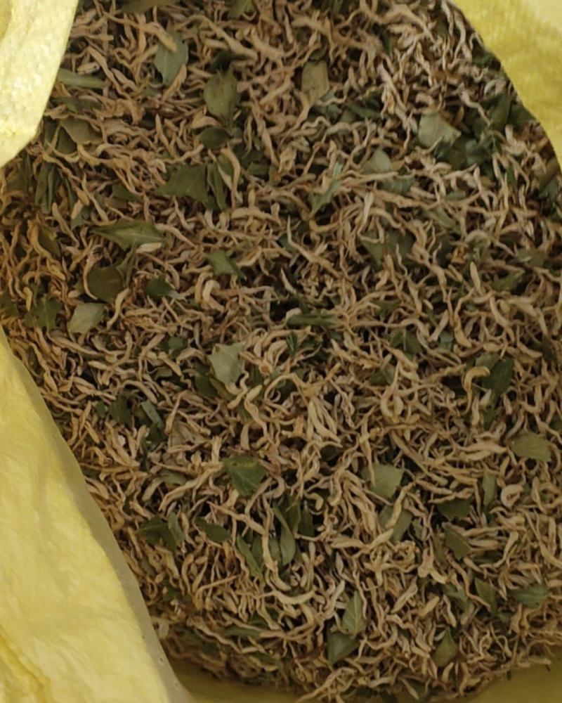 金银花