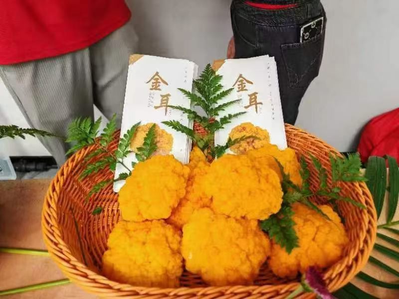 金耳一千斤