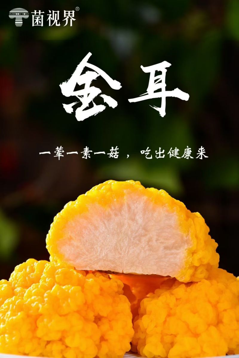 金耳一千斤