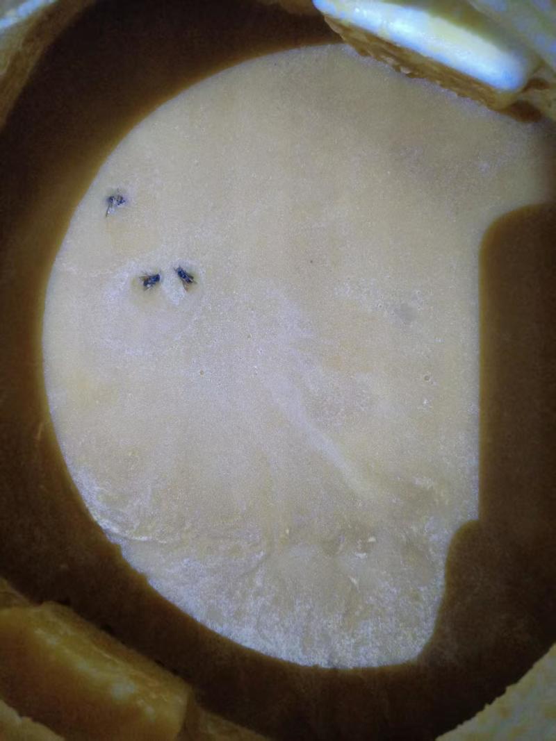 土蜂蜜