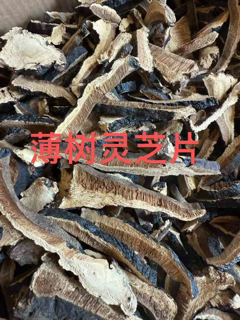 各种规格灵芝原货水洗货切片野生灵芝灵芝孢子粉大量批发长期供应