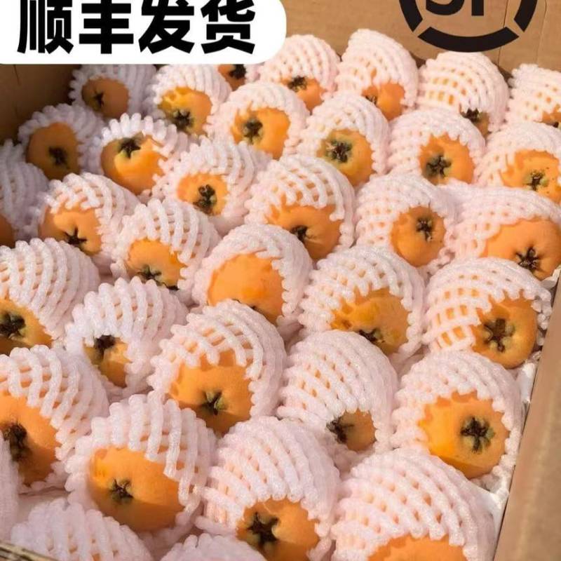 （蒙自枇杷）产地直发新鲜现摘现发蒙自五星枇杷