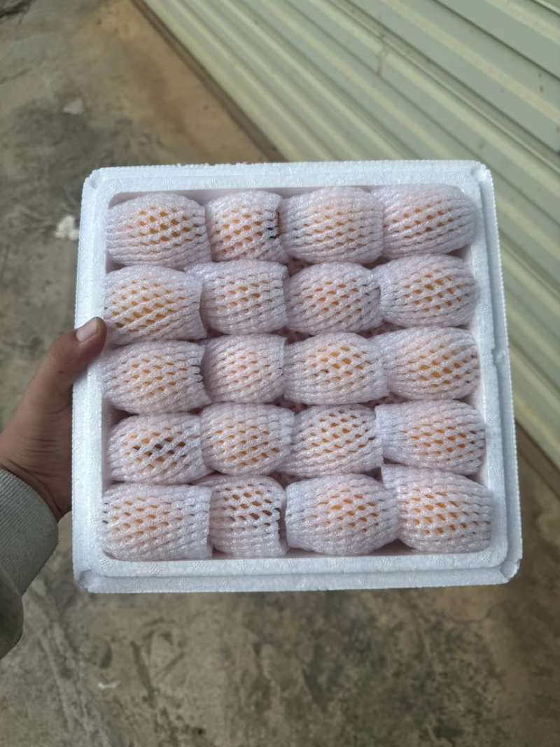 （蒙自枇杷）产地直发新鲜现摘现发蒙自五星枇杷