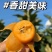（蒙自枇杷）产地直发新鲜现摘现发蒙自五星枇杷