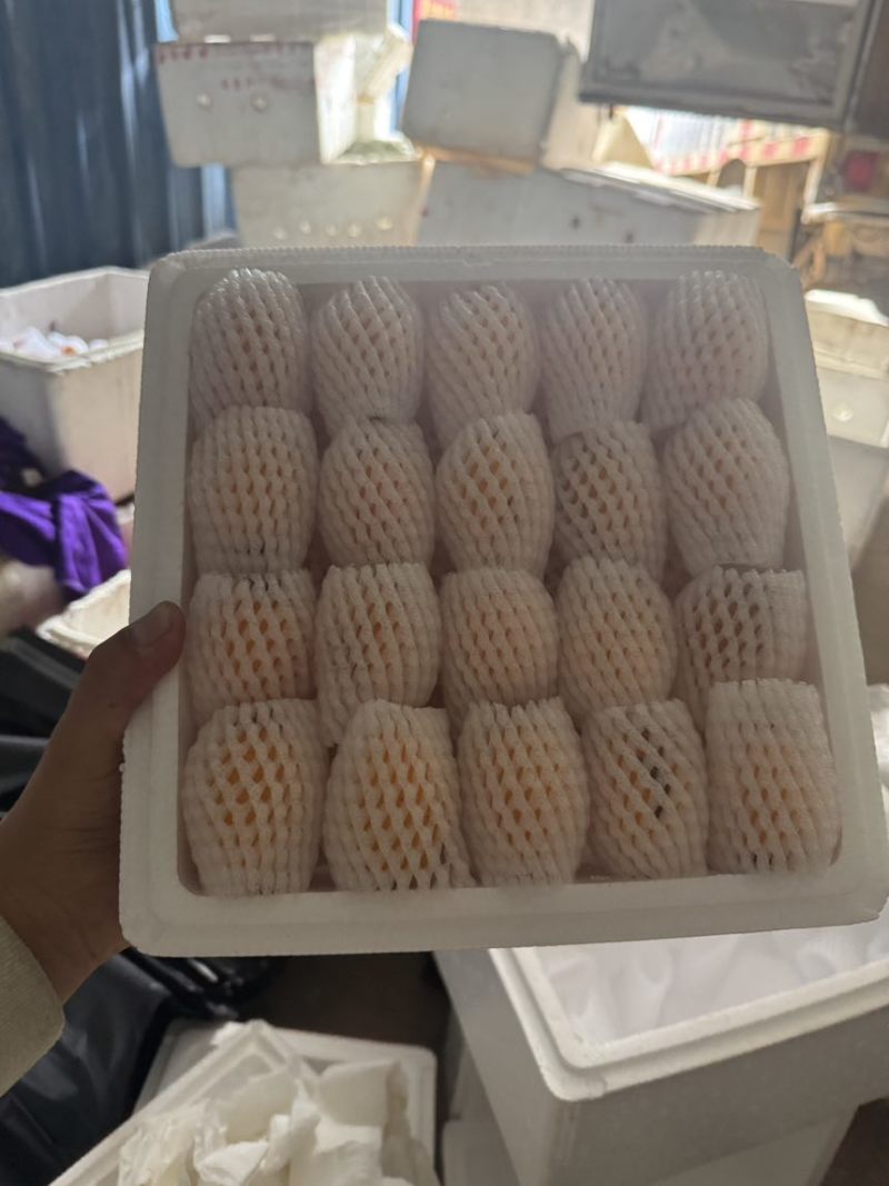 （蒙自枇杷）产地直发新鲜现摘现发蒙自五星枇杷