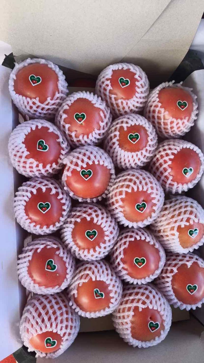 云南元谋冬枣蔬菜之乡精品西红柿粉果红果都有货