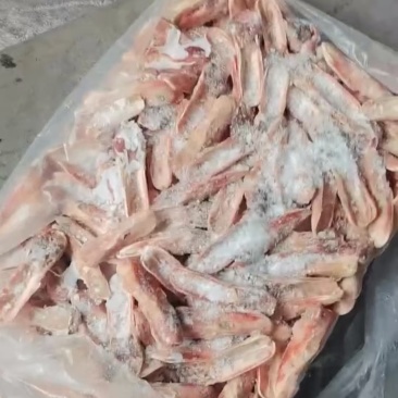 分割厂带唇皮鸭上颚毛净度高